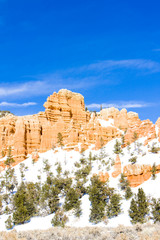 Bryce Canyon National Park in winter, Utah, USA