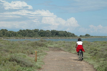 &agrave; v&eacute;lo dans les anciens salins de Frontignan