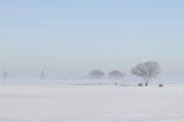 snowy winter landscape