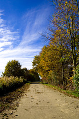 Fototapeta premium Feldweg