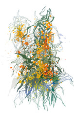 Sea-buckthorn berries. A colorful sketch made by a pen.