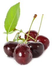 sweet cherries with leaves