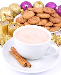 Cup of hot cocoa with cinnamon and cinnamon cookies