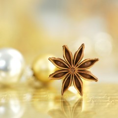 Sternanis