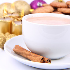 Cup of hot chocolate with cinnamon and cinnamon cookies