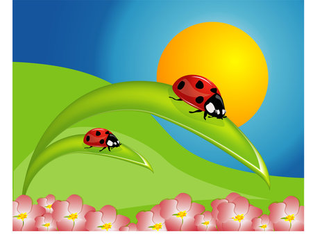 garden poster with ladybug