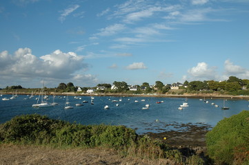 crique dans le golfe du Morbihan