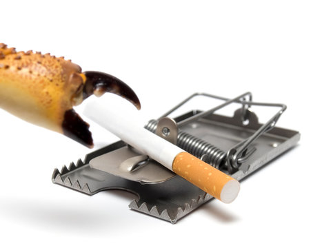 Lung cancer prevention