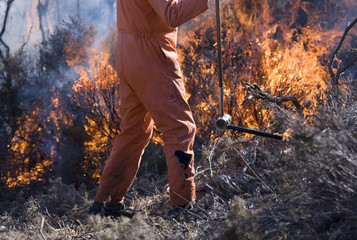 Controlled Burning