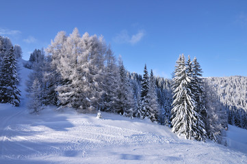 dolomites