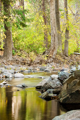 Still Waters in the Wilderness