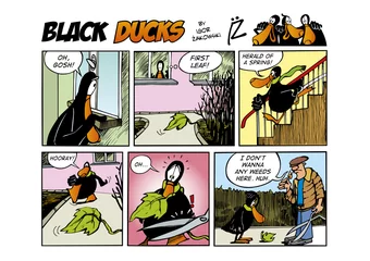 Crédence de cuisine en verre imprimé Des bandes dessinées Épisode 61 de la bande dessinée des canards noirs