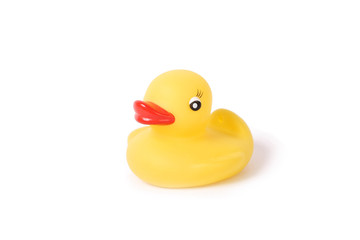 rubber duck isolated on white background