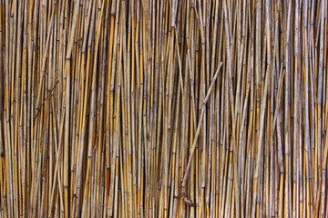 Bamboo Curtain