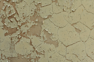 Peeling paint Texture II
