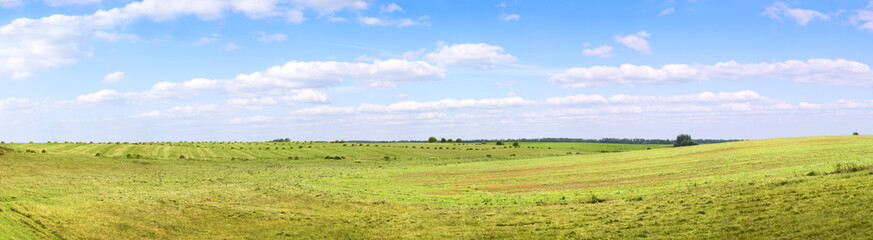 Obraz premium Yellow field of haystacks under blue sky.