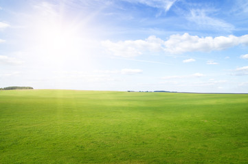 Fototapeta na wymiar Green grass hills under midday sun in blue sky.