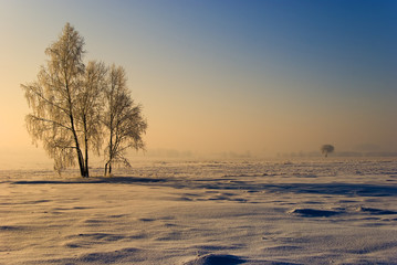 winter scenery