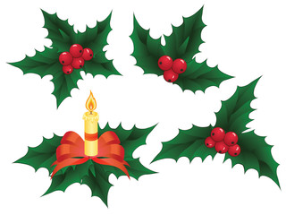 Christmas holly elements, vector illustration