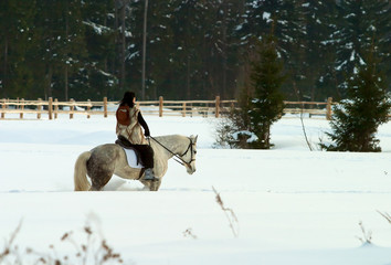 Woman on the horse at the field