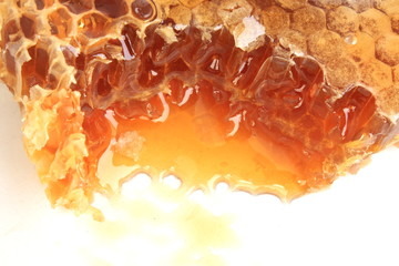 Honeycomb - obrazy, fototapety, plakaty