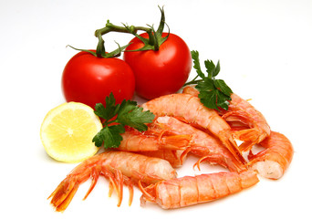 gamberi