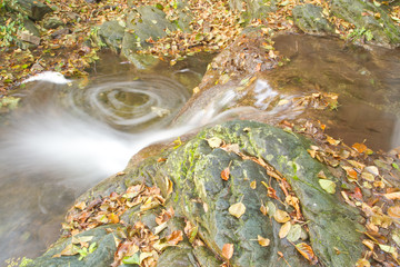 petite riviere d'automne