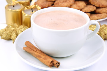 Cup of hot cocoa with cinnamon and cinnamon cookies
