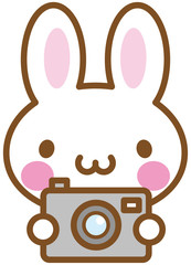 うさぎ　カメラ