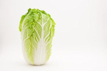 白菜