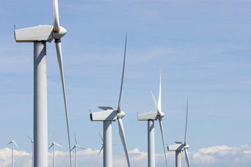 windmill