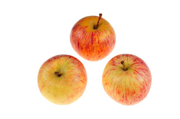red apple on white background
