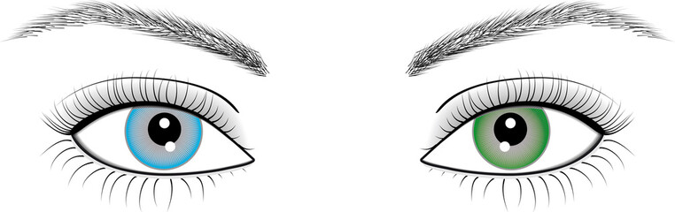 Illustration of eyes of woman