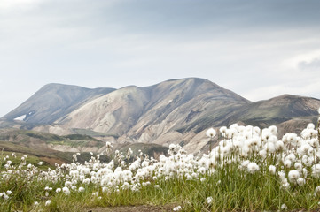 Landmannalaugar (Parque Natural de Fjallabak, Islandia)