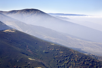 Niebla en la Sierra Norte