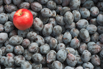 apples and plums