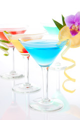 Fresh Martini Cocktails