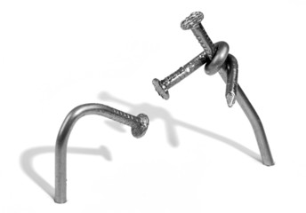 the life of the nails