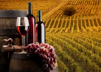 Zelfklevend Fotobehang red wine with vineyard © jirkab