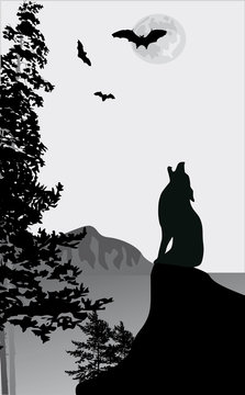 howling wolf on rock illustration
