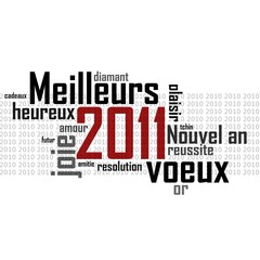 Obraz premium MEILLEURS VOEUX