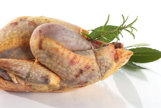 pintade