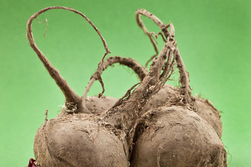 beets on a green background