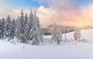 winter sunrise in the Carpathian mountains