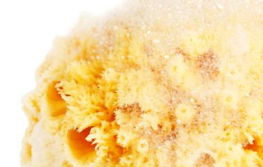 Natural sponge with foam
