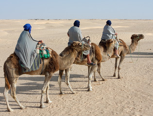 tourists on camels