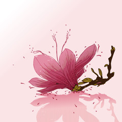 vector background with   a single flower