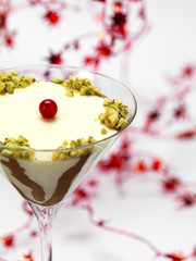 bicolored pannacotta