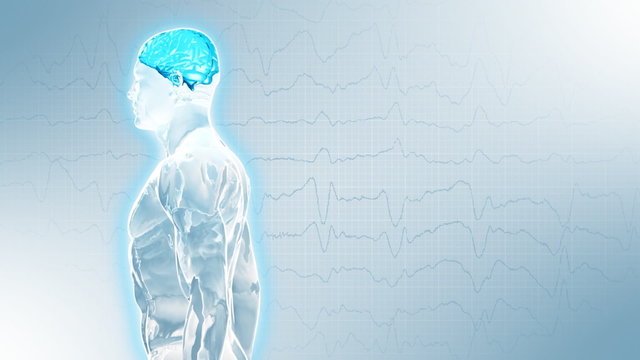 3d glassy body with glowing brain on EEG background. Loop.