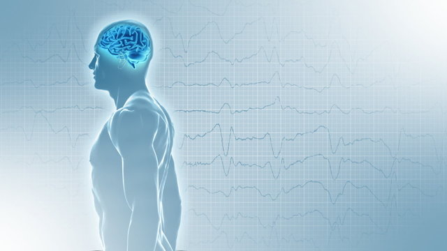3d body with glowing brain on EEG background. Seamless loop.